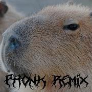 Capybara Phonk