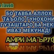 Амри Маъруфи Хичри Муъмин Бародари Муъмин