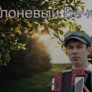 Белые Розы На Баяне Баян Александр Васин Музыка Для Души
