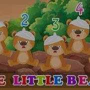 5 Little Bears