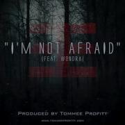 Tommee Profitt I M Not Afraid Feat Wondra