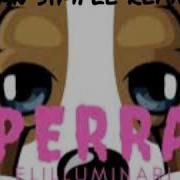 Perra Elilluminari Dan Simple Remix Moombhaton
