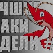 Лрн Выпуск 73 Танк Подушка И В Боль Лучшие Раки Недели
