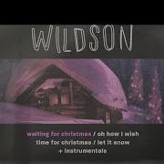 Wildson Feat Ed Mills Time For Christmas