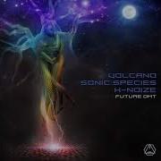 Sonic Species Future Dmt