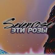 Эти Розы Sevenrose