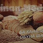 Хурмати Нон Кадри Бечорагон Аст
