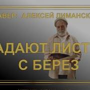 Падают Листья С Берёз
