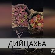 Раяна Асланбекова Дийцахьа