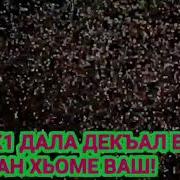 Дал Декъал Йойл Хьо Дал Ирсе Дойл Хьа Дахар