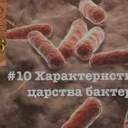 Биология 5 Класс 10 Параграф