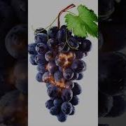 Абонент Не Хочет Вас Слышать