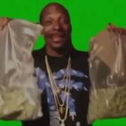 Snoop Dogg Lalalalalala Green Screen Chroma Key