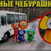 Секс Видео Мультики Для Малышей Гена И Чебурашка