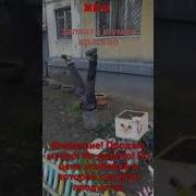 Денег Нету Настроения Нету