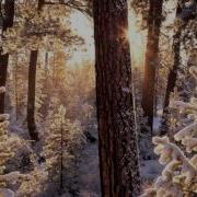 Пойте Иегове 69 Открой Мне Твои Пути Make Me Know Your Ways