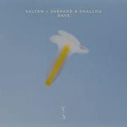 Raye Sultan Shepard Shallou