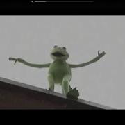 Kermit Suicide Vine