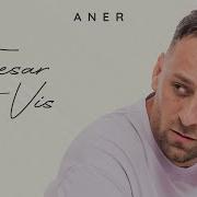 Aner