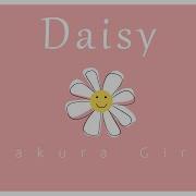 Sakura Girl Daisy