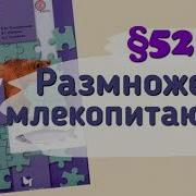 Биология 7 Класс Параграф 53 Происхождение И Разнообразие Млекопитающих