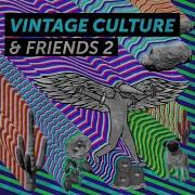 That S Why Vintage Culture Remix