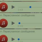 Зелим Магомадов Вайшин Безам Биц Ма Белахь