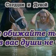 Не Обижайте Тех Кто В Вас Души Не Чает Сердцем И Душой
