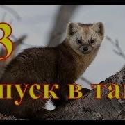 Отпуск В Тайге Книга 3