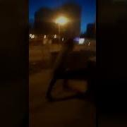 Тикай С Городу Тоби П Зда