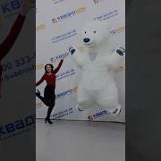 Белый Медведь Из Тик Тока
