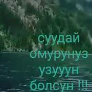 Тогулбо Омур Тогулбо 2020 Жыл