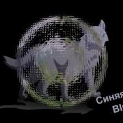 Синяя Звезда И Дроздовик Мап