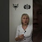 Настройка Ферритин Медитация