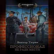 Профессионал 2 Виктор Тюрин