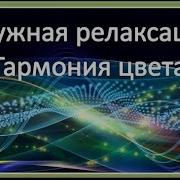 Радужная Релаксация Гармония Цвета