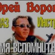 Андрей Воронин Инструктор Все Книги По Порядку