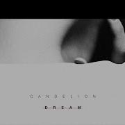 Im Dreaming Of You Candelion