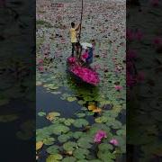 Яхши Корасами Ёр Зиёдада Ремикс