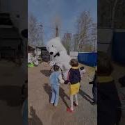 Поздравление От Белого Мишки С Днем Рождения
