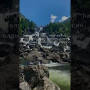 Шерали Жураев Ит Хурар Утади Карвон