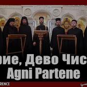 Песнопение Мария Дева Чистая Пресвятая Богородица Час