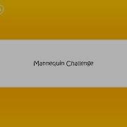 Команда 151 Maneken Challenge Победители Конкурса Стипендия Для Студентов От Сети Сильпо