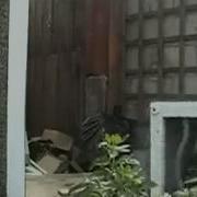 Washing Machine На Флейте