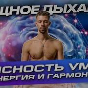 Никита Метелица Клеточное Дыхание