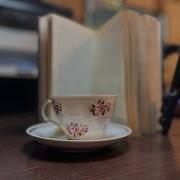 Ольга Лукас Лапа Ищет Человека