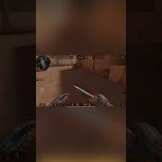 Прикол Сука Иди Сюда Нахуй