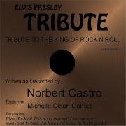 Tribute The The King Of Rock Roll