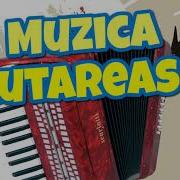 Muzica De Petrecere La Acordeon 2020 Super Program De Joc