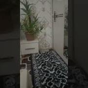 Як Шабака Руз Кардум Дар Санчаки Дар